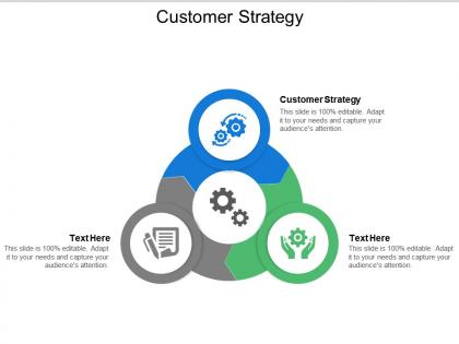 Customer strategy ppt powerpoint presentation pictures diagrams cpb