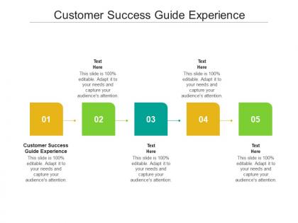 Customer success guide experience ppt powerpoint presentation show mockup cpb