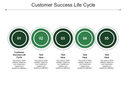 Customer success life cycle ppt powerpoint presentation pictures graphics cpb