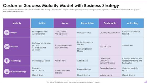 Customer Success Maturity Model With Business Strategy