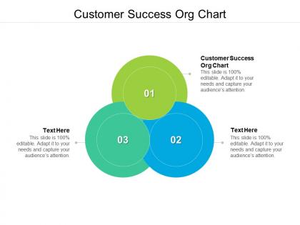 Customer success org chart ppt powerpoint presentation portfolio graphics example cpb