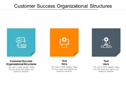 Customer success organizational structures ppt powerpoint presentation layouts visual aids cpb