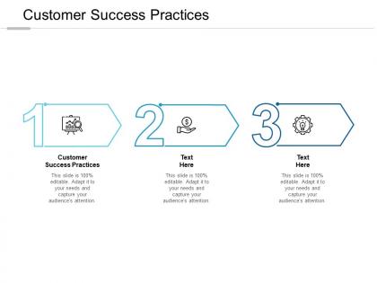 Customer success practices ppt powerpoint presentation inspiration microsoft cpb