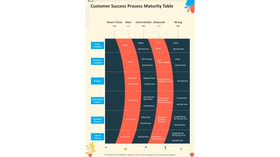 Customer Success Process Maturity Table One Pager Sample Example Document