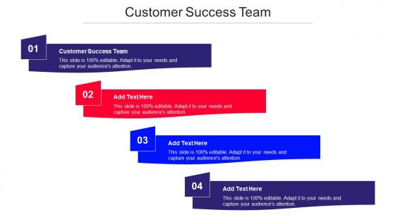 Customer Success Team Ppt Powerpoint Presentation Model Themes Cpb