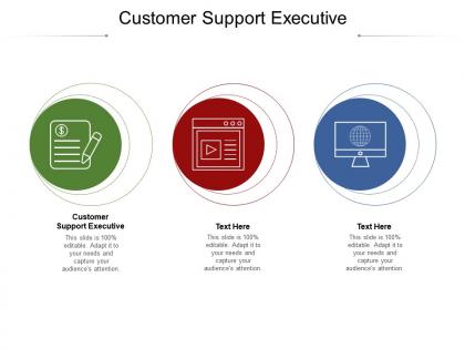 Customer support executive ppt powerpoint presentation infographic template cpb
