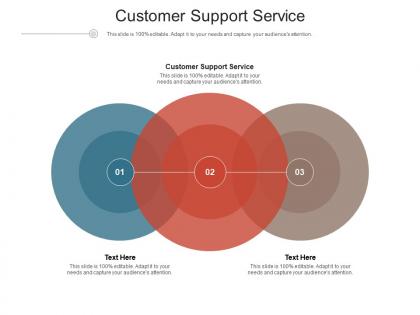 Customer support service ppt powerpoint presentation file aids cpb
