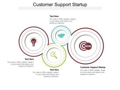 Customer support startup ppt powerpoint presentation pictures themes cpb