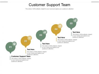 Customer support team ppt powerpoint presentation gallery professional cpb