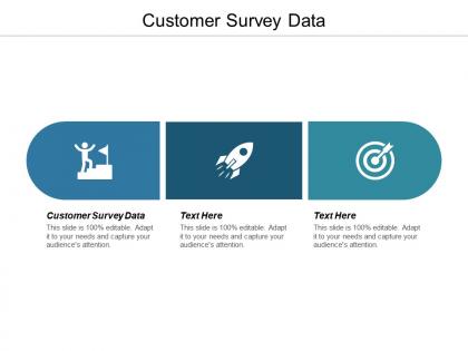 Customer survey data ppt powerpoint presentation gallery background image cpb
