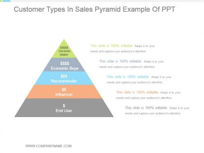 Customer types in sales pyramid example of ppt