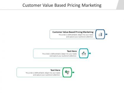 Customer value based pricing marketing ppt powerpoint presentation slides graphics example cpb