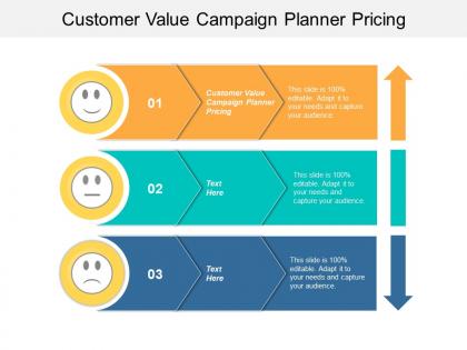 Customer value campaign planner pricing ppt powerpoint presentation pictures slide portrait cpb
