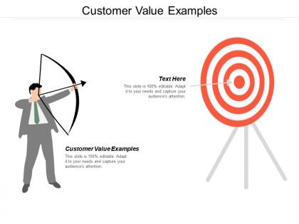 Customer value examples ppt powerpoint presentation file design ideas cpb