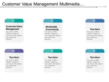 Customer value management multimedia connectivity corporate level strategy