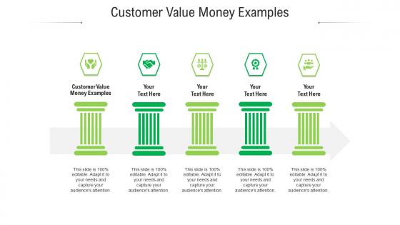 Customer value money examples ppt powerpoint presentation show graphics tutorials cpb