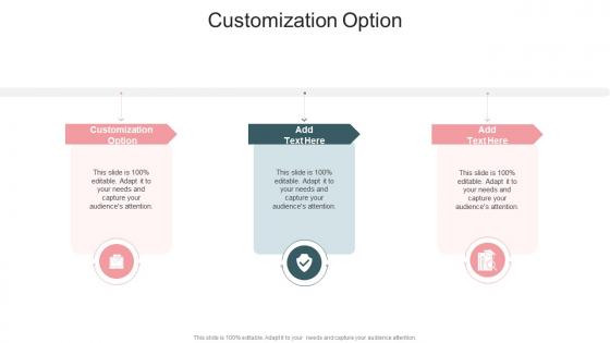 Customization Option In Powerpoint And Google Slides Cpb