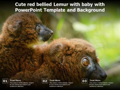 Cute red bellied lemur with baby with powerpoint template and background