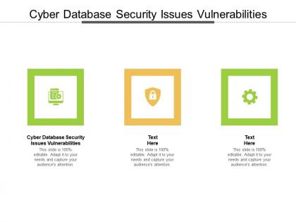 Cyber database security issues vulnerabilities ppt powerpoint presentation outline ideas cpb