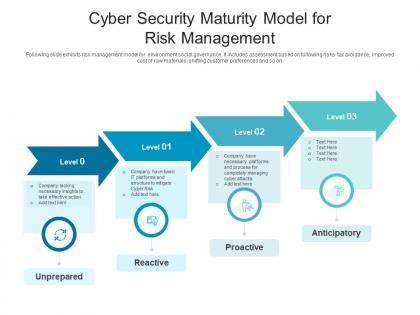 Cyber security maturity model for risk management