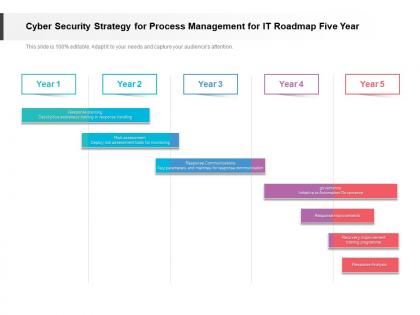 Cyber security strategy for process management for it roadmap five year