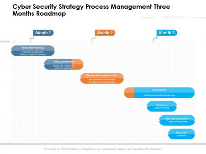 Cyber security strategy process management three months roadmap