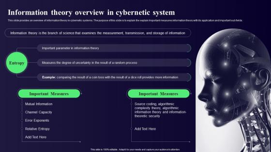 Cybernetics Information Theory Overview In Cybernetic System