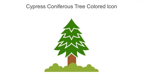 Cypress Coniferous Tree Colored Icon In Powerpoint Pptx Png And Editable Eps Format