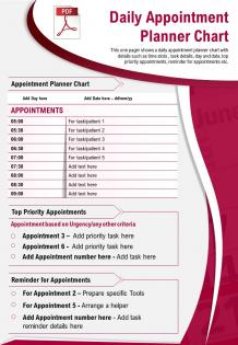 Daily appointment planner chart presentation report infographic ppt pdf document