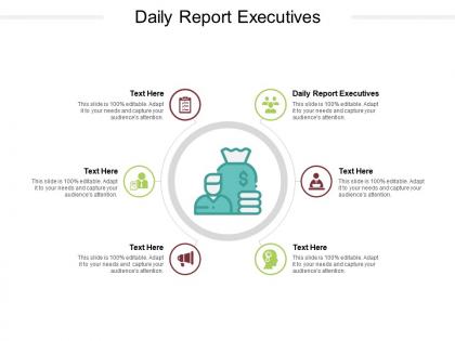 Daily report executives ppt powerpoint presentation outline demonstration cpb