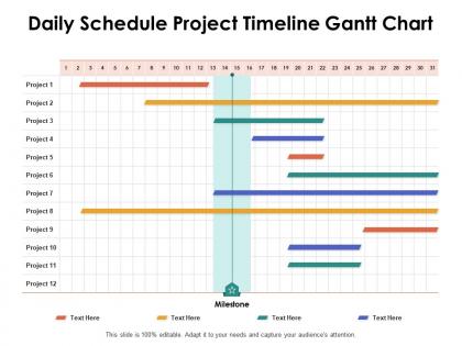 Daily schedule project timeline gantt chart ppt powerpoint presentation sample