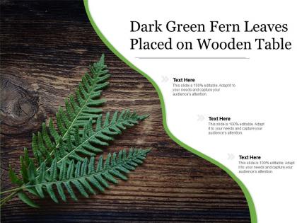 Dark green fern leaves placed on wooden table