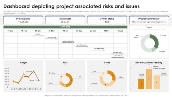Dashboard Depicting Project Associated Risks And Issues Mastering Project Management PM SS