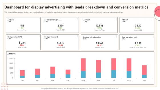 Dashboard For Display Advertising With Leads Breakdown And Conversion Metrics