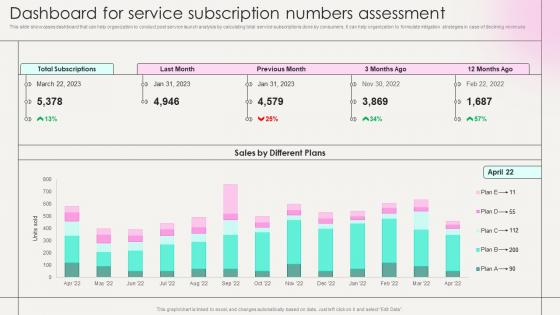 Dashboard For Service Subscription Numbers Assessment Marketing Strategies New Service