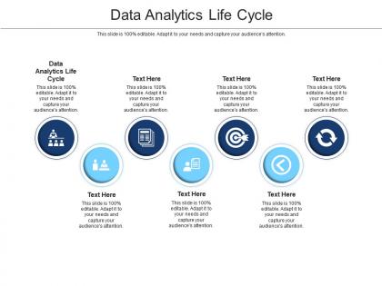 Data analytics life cycle ppt powerpoint presentation portfolio design ideas cpb