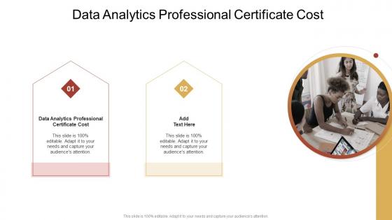 Data Analytics Professional Certificate Cost In Powerpoint And Google Slides Cpb