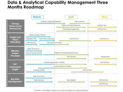 Data and analytical capability management three months roadmap