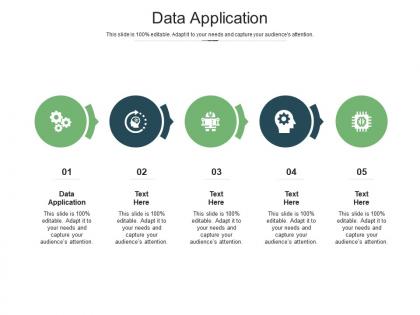 Data application ppt powerpoint presentation examples cpb