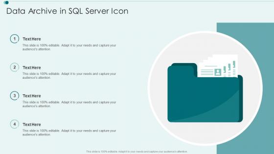 Data Archive In SQL Server Icon