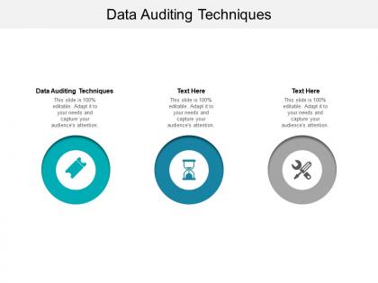 Data auditing techniques ppt powerpoint presentation icon clipart cpb