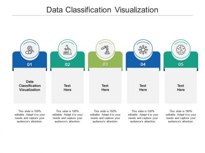 Data classification visualization ppt powerpoint presentation layouts skills cpb