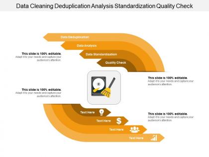 Data cleaning deduplication analysis standardization quality check