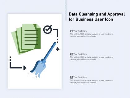 Data cleansing and approval for business user icon