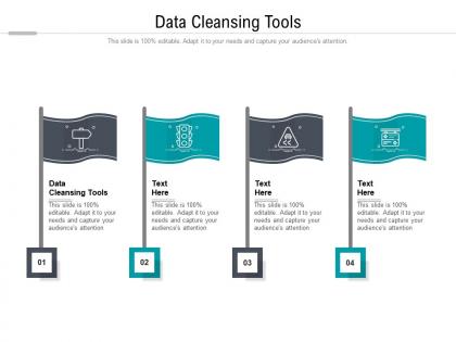 Data cleansing tools ppt powerpoint presentation pictures skills cpb