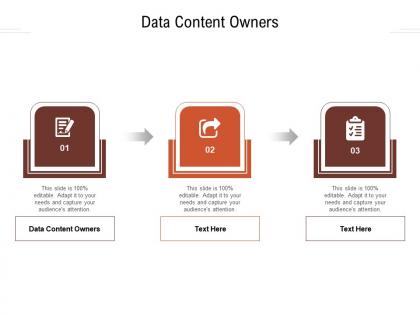 Data content owners ppt powerpoint presentation show structure cpb
