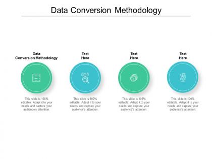 Data conversion methodology ppt powerpoint presentation show topics cpb
