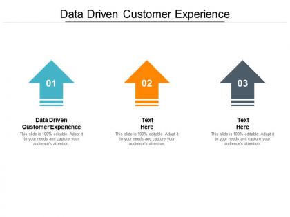 Data driven customer experience ppt powerpoint presentation infographics portrait cpb