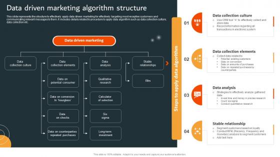 Data Driven Marketing Algorithm Structure MKT SS V