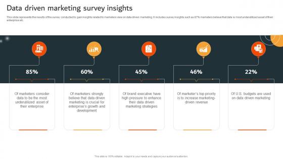Data Driven Marketing Survey Insights MKT SS V